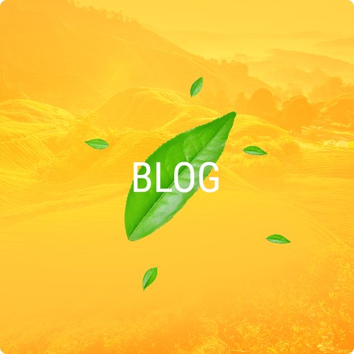Blog