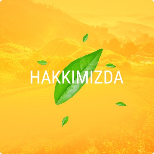 Hakkımızda