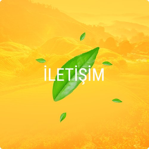 İletişim