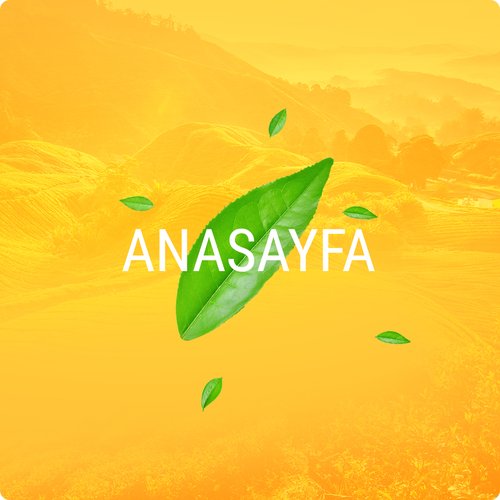 Anasayfa
