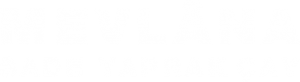 retina mevlana