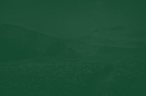 mevlana cay footer back