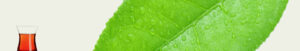 mevlana cay banner 16