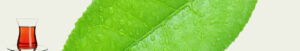 mevlana banner 18