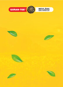 Mevlana background