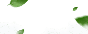 Mevlana Web Slide 3
