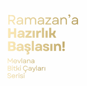 Mevlana Web Slide 4